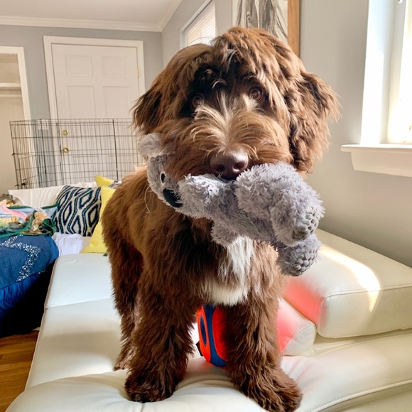 ☺️Meet your Posher, ♥️Bia  💕Welcome !😘 - Picture 11 of 16